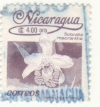 Stamps Nicaragua -  Sobralia macrantha