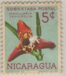 Stamps : America : Nicaragua :  Maxillaria tenuifolia