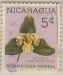 Stamps : America : Nicaragua :  Lycaste macrophylla