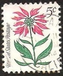 Stamps United States -  POSTAGE