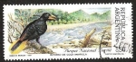 Stamps America - Argentina -  PARQUE NACIONAL BARILU - BOYERO DE COLA AMARILLA