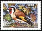 Stamps Syria -  goldfinch