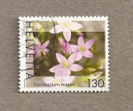Stamps Switzerland -  Flor Centaurium minus