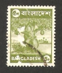 Sellos de Asia - Bangladesh -  flora, jacquier