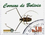 Sellos de America - Bolivia -  Insectos