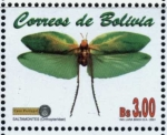 Sellos de America - Bolivia -  Mariposas e Insectos