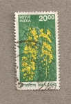 Stamps India -  Cassia fistula, hierba medicinal