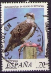 Stamps Spain -  Aguila pescadora