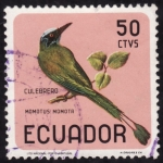 Stamps America - Ecuador -  MOMOTUS MOMOTA(culebrero)