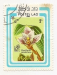 Stamps Laos -  Maxillaria Sanderiana