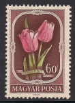 Stamps : Europe : Hungary :  Tulipanes.