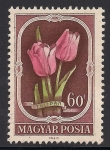 Stamps Hungary -  Tulipanes.