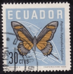 Stamps : America : Ecuador :  PAPILIO TORQLEAUATUS LEPTA