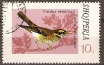 Stamps : Europe : Albania :  TURDUS  MUSÍCUS