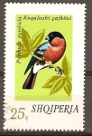 Stamps Europe - Albania -  PYRRBULA  PYRRBULA