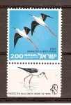 Sellos del Mundo : Asia : Israel : HIMANTOPUS  HIMANTOPUS