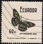 Stamps : America : Ecuador :  METAMORPHA DIDO