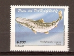 Stamps Paraguay -  PSEUDOPLATYSTOMA  CORUSCANS
