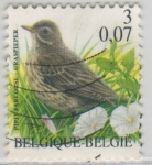 Stamps Belgium -  Anthus pratensis