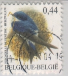 Sellos del Mundo : Europa : Blgica : Delichon urbicum