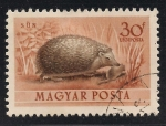 Stamps : Europe : Hungary :  Erizo.