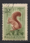 Stamps Hungary -  Ardilla Roja.