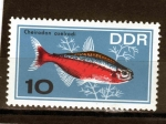 Stamps Germany -  R.F.A.