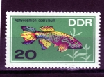 Stamps Germany -  R.D.A: