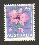 Sellos de Oceania - Australia -  flora, una orquídea