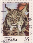 Stamps : Europe : Spain :  Lince Ibérico
