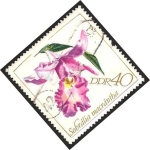Stamps Germany -  Orquídea sobralia macrantha