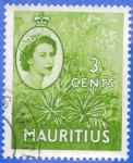 Stamps Africa - Mauritius -  MAURICIO 1953 (S252) Coronacion - Planta de Aloe 3c