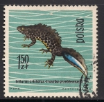 Stamps Poland -  Tritón.