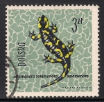 Stamps : Europe : Poland :  Salamandra.