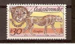 Stamps Czechoslovakia -  LEOPARDO