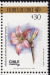 Stamps Chile -  FLORES DE CHILE