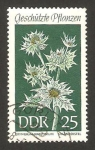Stamps Germany -  flor panicaut maritime