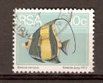 Stamps : Africa : South_Africa :  ZANCLUS   CORNUTUS