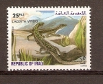 Stamps Iraq -  LACERTA   VIRIDIS