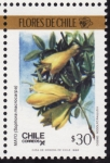Stamps America - Chile -  FLORES DE CHILE