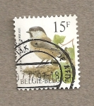Stamps Belgium -  Ave Mesence boreale