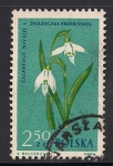 Stamps Poland -  Galanthus nivalis