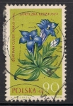 Stamps Poland -  Gentiana clusii