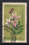 Stamps Poland -  Dictamnus albus