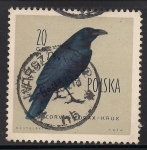 Stamps Poland -  Cuervo.