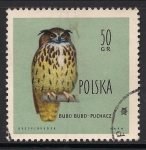 Stamps : Europe : Poland :  Búho real.