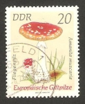 Stamps Germany -  champiñon amanita muscaria