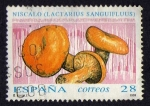 Stamps : Europe : Spain :  Micología