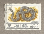 Stamps Russia -  Serpiente venenosa