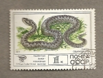 Stamps Russia -  Víbora lebetina